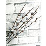 Веточки вербы из полимерной глины ручной работы (5 шт.)
